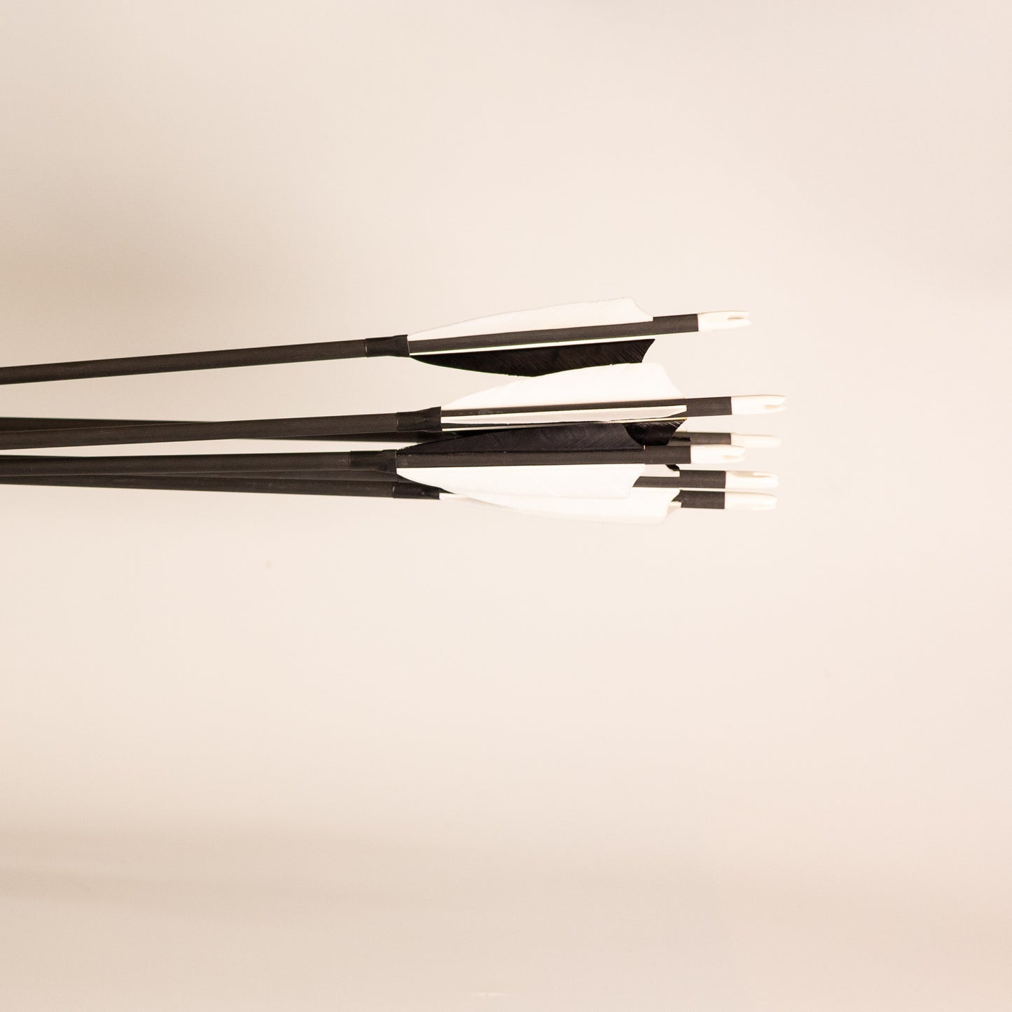 Traditional Carbon Arrows - 6 Pack