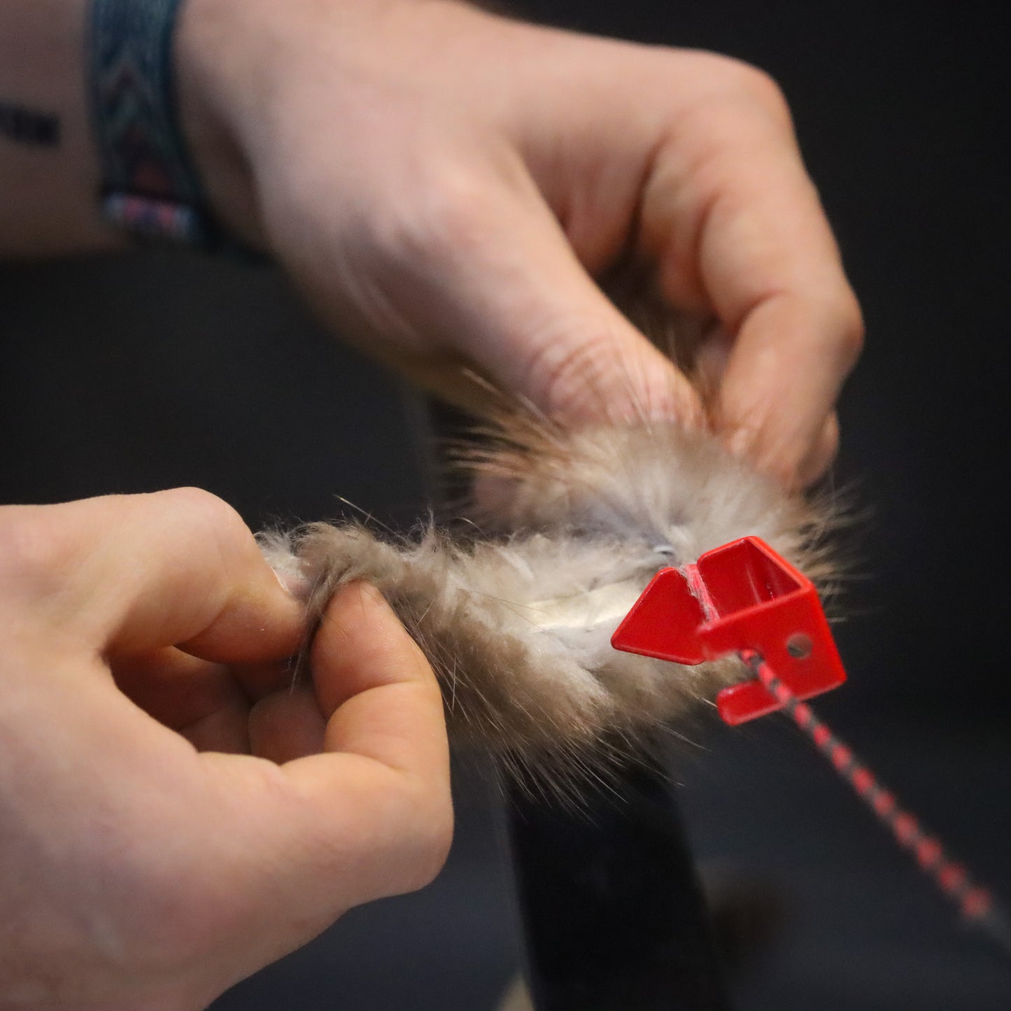 Bowstring Separator