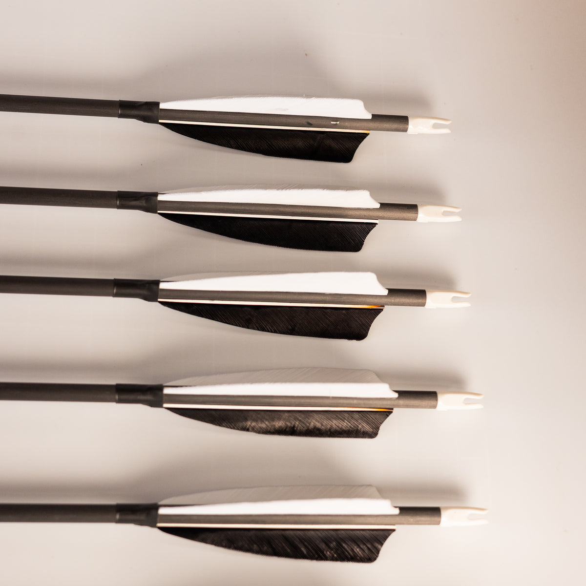 Traditional Carbon Arrows - 6 Pack – Shatterproof Archery