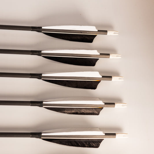 Traditional Carbon Arrows - 6 Pack