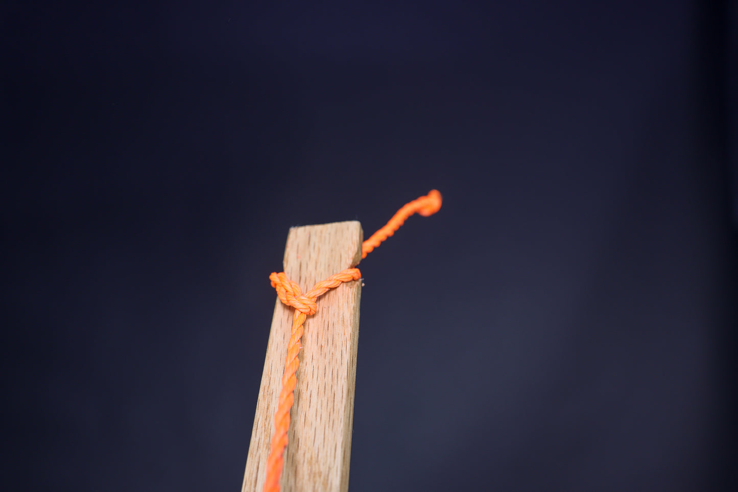 Tillering String - (For bow making)