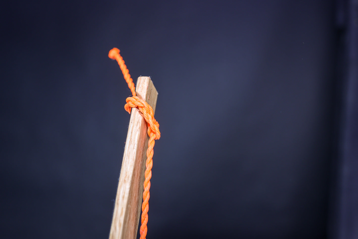 Tillering String - (For bow making)
